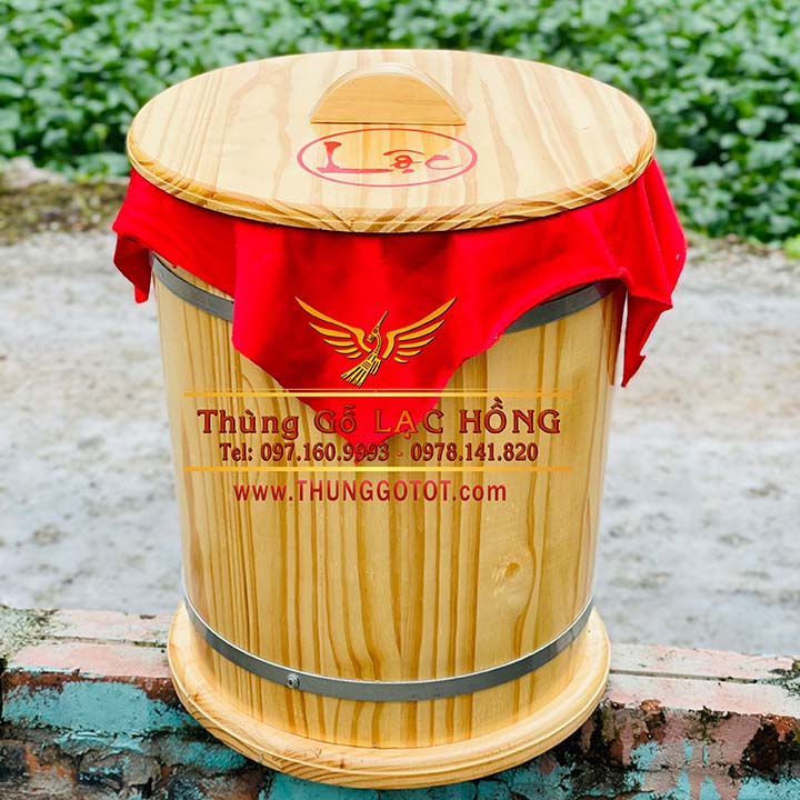 https://thunggotot.com/image/catalog/THUNG-GO-DUNG-GAO/THUNG-GAO-NEW-20KG/thung-gao-go-thong.jpg