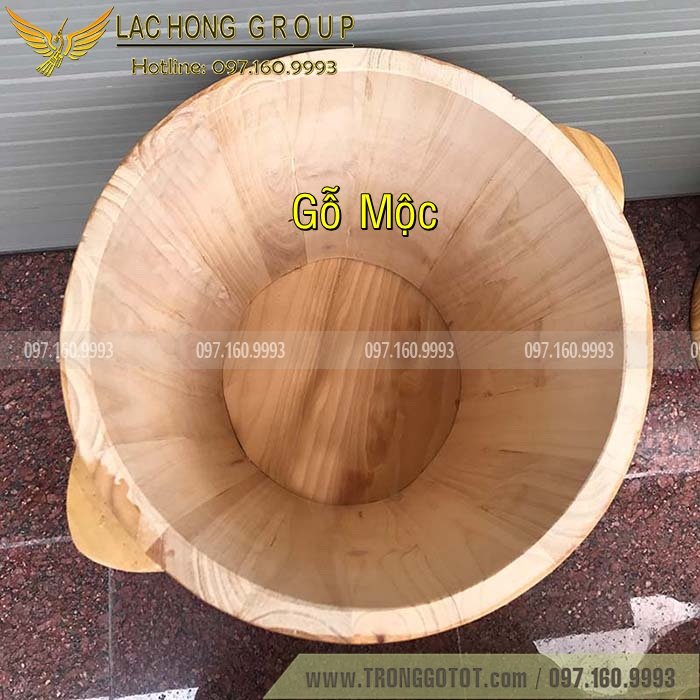https://thunggotot.com/image/catalog/THUNG-GO-DUNG-GAO/THUNG-GAO-20KG/thung-go-dung-gao-an-toan.jpg