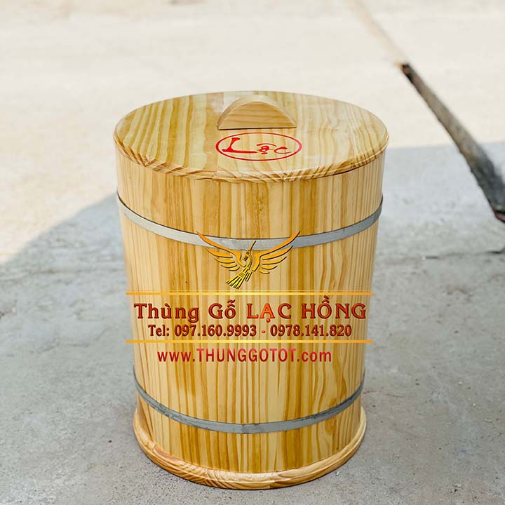 https://thunggotot.com/image/catalog/THUNG-GO-DUNG-GAO/THUNG-GAO-NEW-10KG/thung-go-dung-gao-chong-am-moc.jpg
