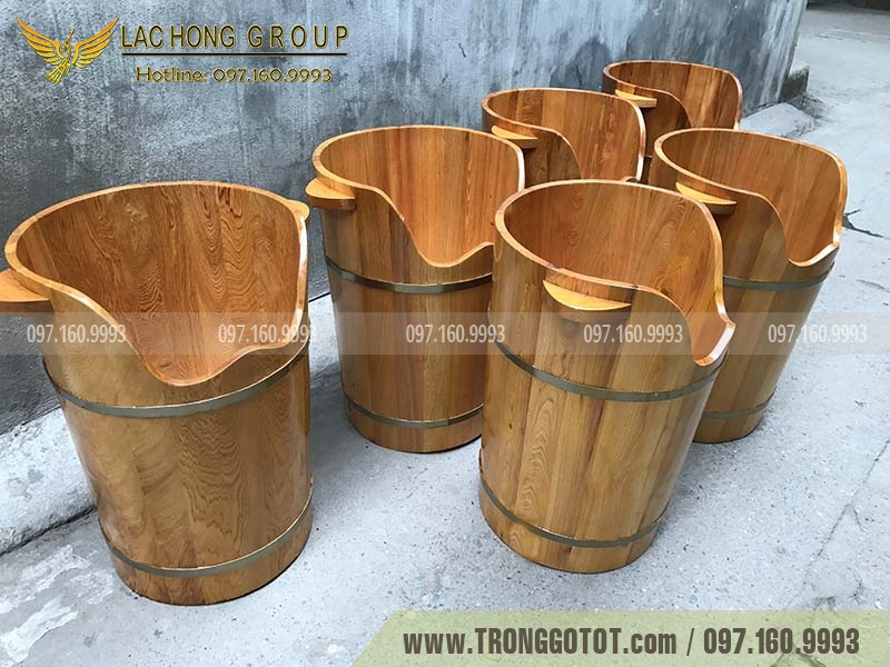 https://thunggotot.com/image/catalog/PHONG-XONG-HOI-KHO/thung-xong-chan/chau-go-ngam-chan.jpg